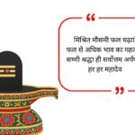 Lord Shiva Bio for Whatsapp
