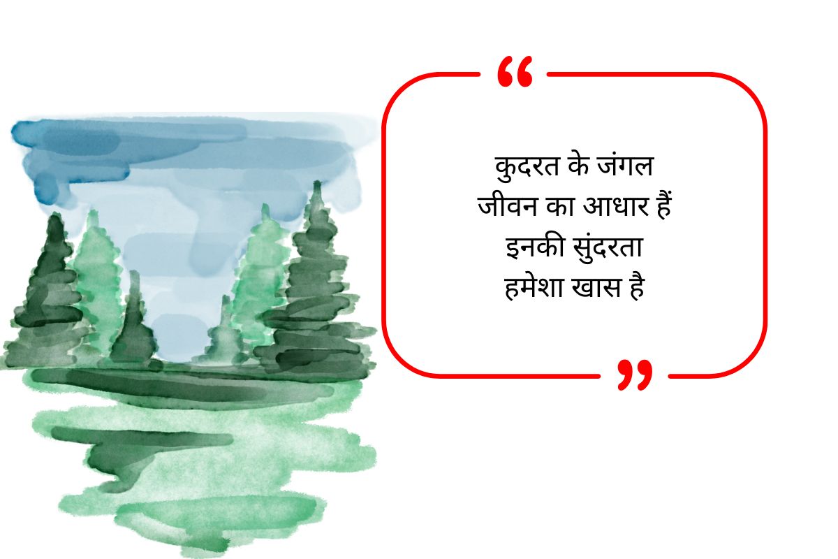 Nature Bio for Whatsapp